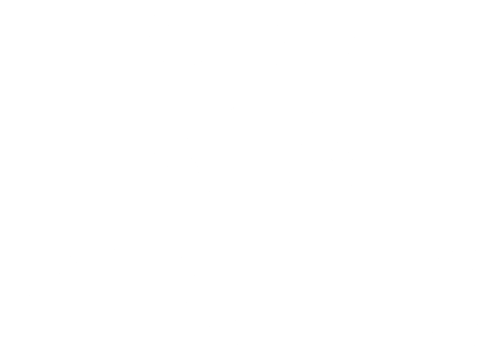 Logo PLS Next Server